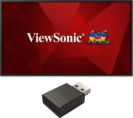 ViewSonic CDE4320-W1 – 43? Large Format Presentation Screen Bundle (Black)