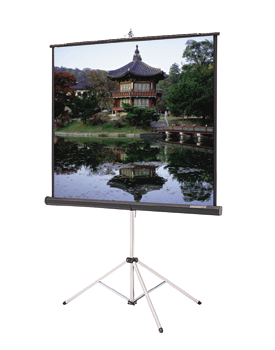 Da-Lite 40151 Picture King Tripod Front Projection Screen (96x96in.)