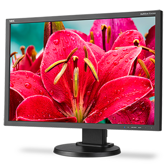 NEC E245WMi-BK 24 in. Widescreen Desktop Monitor w/ IPS Panel